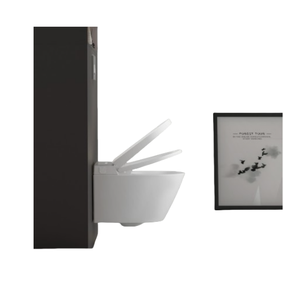 Fornitura diretta di fabbrica Design minimalista Smart a muro tazza del water asciugatura ad aria calda per sedile - Product Image 1