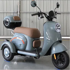 Eccellente qualità mobilità scooter 48 v60v500w piccolo motorizzato triciclo elettrico 3 ruote escoter per 2 persone