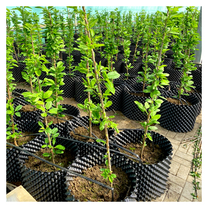 Большой горшок для выращивания растений, горшок для корней, 20 галлонов, контейнер для растений для выращивания растений - Product Image 1