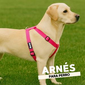 Pettorina per Cani Yommy in Nylon Riflettente, Regolabile a Quattro Punti, Anti-Trazione, Distribuzione della Pressione, Confortevole - Product Image 4
