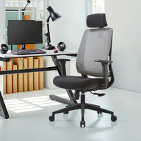 Chaise de bureau moderne en vente directe d'usine Chaise de bureau ergonomique en maille Équipement de bureau Chaise d'ordinateur