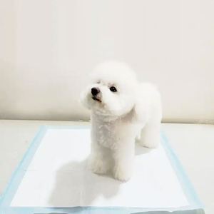 Wholesale Dog Puppy Pads Leak Proof 6 Layer Training Eco Friendly Pet <b>Pee</b> Pads Disposable - Product Image 1