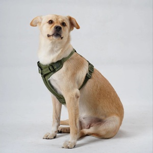 Fabricante de Coleiras para Cães, Novas Cores da Moda, Material de Tecido Sólido Acolchoado, Respirável e Ajustável, Coleira para Cães que Não Puxa - Product Image 6