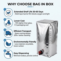 Boîte à café personnalisée 1L 3L 5L Émirats Arabes Unis, sac BIB dans boîte à café, sac à café jetable avec valve et distributeur de liquide