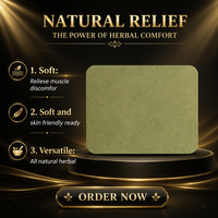 Patch d'acupression au miel OEM TCM pour la moxibustion, soin traditionnel chinois à base de plantes, plâtre de classe I pour les douleurs musculaires