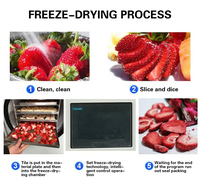 Xdx Hoogrenderende Vriesdroogmachine Van Fruit/Lyofilisatiemachine/Vriesdroger Droogmachine