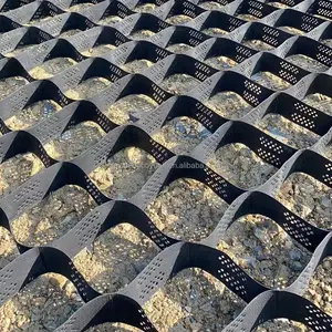 Sistema a nido d'ape di miglioramento del suolo ghiaia griglia vialetto ghiaia stabilizzatore Hdpe Geocell