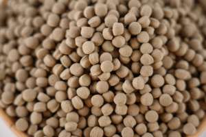 Alimento Premium para Tortugas Reproductoras Porpoise - Fórmula <span class=keywords><strong>de</strong></span> Espirulina y Krill para Tortugas Reproductoras Acuáticas y Semiacuáticas, 10 kg a Granel - Product Image 4