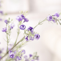 AR-234 ZUOYI 81CM Artificielle En Plastique Blanc Violet Babysbreath Fleur Grande Taille Babybreath Fleur pour La Décoration Intérieure
