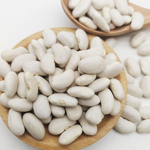 Vente chaude nouveauté gros <span class=keywords><strong>haricots</strong></span> <span class=keywords><strong>blancs</strong></span> produit agricole <span class=keywords><strong>de</strong></span> haute qualité-vente en gros <span class=keywords><strong>de</strong></span> <span class=keywords><strong>haricots</strong></span> - Product Image 5