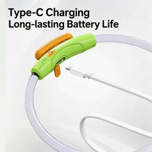 Collier <span class=keywords><strong>anti</strong></span>-perte en silicone pour <span class=keywords><strong>chien</strong></span>, réglable, étanche, avec LED rechargeable et motif dessin animé, répulsif <span class=keywords><strong>anti</strong></span>-moustiques, pour usage quotidien en extérieur - Product Image 2