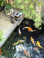 Distributeur automatique de nourriture pour poissons solaire, étanche, pour bassin et carpes koï