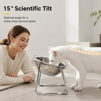 Bol surélevé pour chats et petits chiens en acier inoxydable 304, incliné à 15 degrés, avec logo personnalisé en couleur
