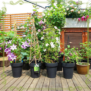 <span class=keywords><strong>Horon</strong></span> Serie Langlebiger Klassischer Verdickter Runder Garten-Blumentopf aus Kunststoff für Hänge- und Bodennutzung - Product Image 5