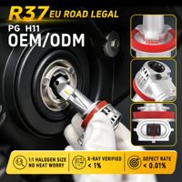 Bombilla LED para Faros Delanteros PG con Certificación ECE R37, 18W 1800LM en Tamaño Mini con Logotipo Personalizado para H4 H7 H11 HB3 HB4, Programas de Suministro al por Mayor