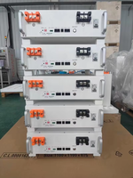 Système d'énergie solaire pour entrepôt européen Deye Inverter 51.2V 100Ah Lifepo4 Batterie 12KW Système d'énergie solaire hybride domestique