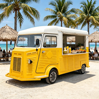 Rôtissoire Commerciale Mobile pour Shawarma de Poulet et Wraps Pita, pour Marchés, Événements et Restauration Mobile (Acier Inoxydable)