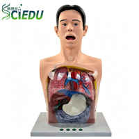 Mannequin d'entraînement au lavage gastrique humain SCIEDU, modèle pédagogique transparent pour la décompression gastro-intestinale