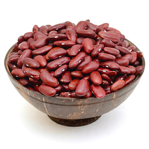 New Harvest Indian Rajma Beans Natural <b>Red</b> Kidney Beans Dried 24 Months Shelf Life for International Bulk Export Markets - Product Image 1