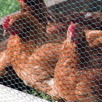 Rouleaux de grillage hexagonal pour cages à poulets et clôtures de poulaillers