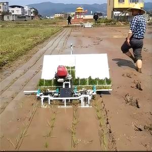 Новый тип, ходьба за сеялкой для риса, эффективная сеялка для риса, защищает корни, экономит усилия - Product Image 5