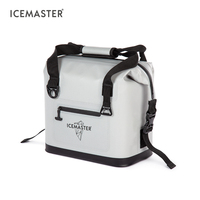 Sac isotherme souple en TPU pour OEM, 11/21/32L, glacière portable isolée, moderne, réutilisable, résistante à l'eau, maintien de la glace pendant 5 jours