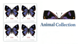 Étiquettes permanentes <span class=keywords><strong>en</strong></span> papier personnalisées <span class=keywords><strong>en</strong></span> gros pour <span class=keywords><strong>la</strong></span> collection Colorado Hairstreak 2021, imprimées aux États-Unis, pour <span class=keywords><strong>timbres</strong></span> postaux <span class=keywords><strong>en</strong></span> <span class=keywords><strong>ligne</strong></span> - Product Image 6