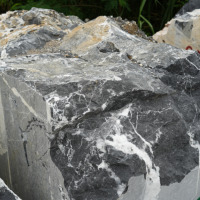 Bloc de marbre blanc Panda de qualité supérieure pour revêtements de sol, panneaux muraux et comptoirs