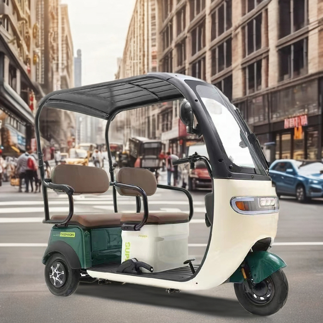 Adult Three-Wheel Electric Mini Scooter Tricycle Pink Max Black Green Silver Body with 60v 3-Speed Motor Roof Acid Power Battery