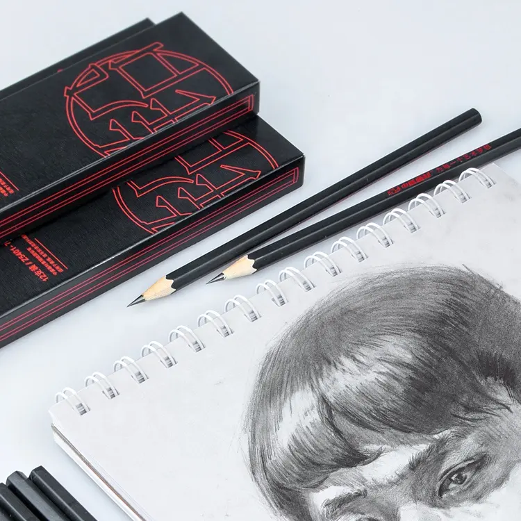 Grafit Sketsa Pensil 12 Set untuk Menggambar