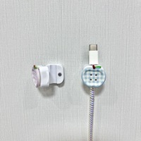 Protector de Cable de Carga USB de Acrílico con Diseño de Frutas de Dibujos Animados Personalizado, Cubierta Antirrotura para Cable, Organizador de Cables para Teléfono, Ideal para Regalo