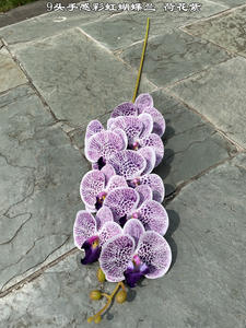 Orquídeas Artificiales de Color Nude, Orquídeas Blancas de Tacto Real, Orquídeas Azules Phalaenopsis para Decoración, Venta al Por Mayor - Product Image 3