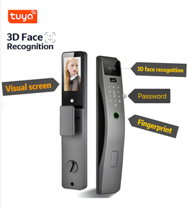 Smart Face Recognition Door <b>Lock</b> With Wi-Fi Cloud Storage Stainless Steel Grade C Security For Steel Door - Product Image 5
