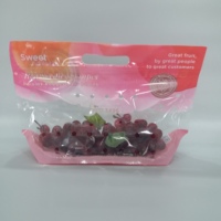 Sacs en plastique personnalisés anti-buée avec fermeture éclair pour fruits (pommes, raisins, cerises) – Conservation optimale