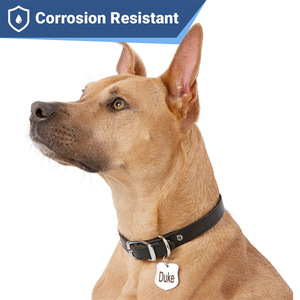 Wowei sıcak satış paslanmaz çelik çift yan gravür kişiselleştirilmiş Pet köpek ve kedi kimlik etiketi asılı yaka etiketleri köpekler için - Product Image 4