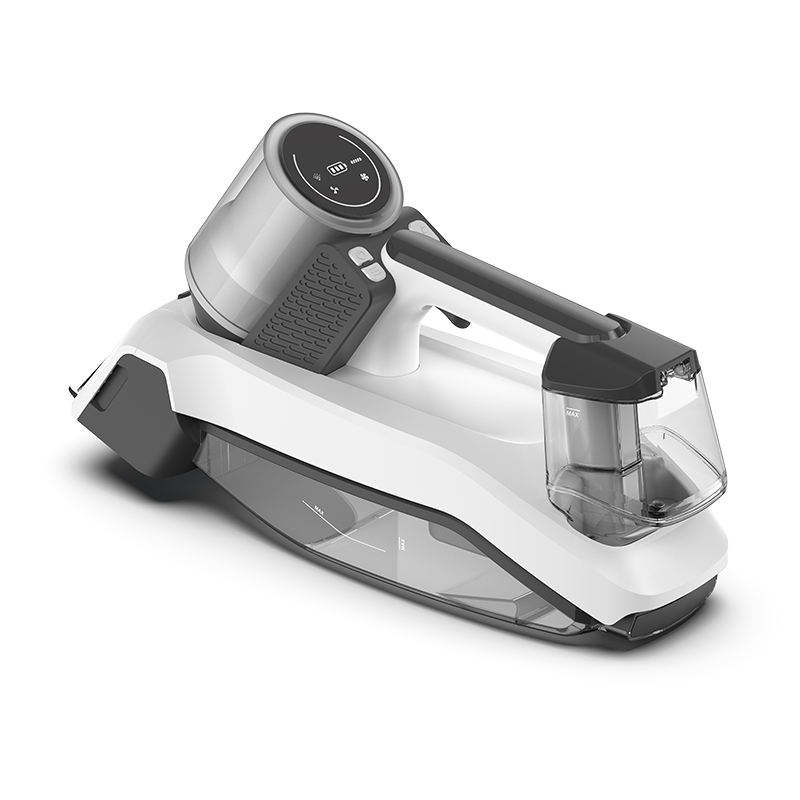 สีขาวและสีดำ