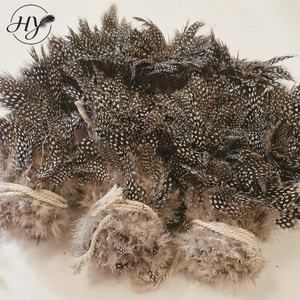 Plumas <span class=keywords><strong>de</strong></span> Gallina <span class=keywords><strong>de</strong></span> <span class=keywords><strong>Guinea</strong></span> Naturales al por Mayor para Atar Moscas, Manualidades, Joyería, Decoraciones <span class=keywords><strong>de</strong></span> Moda - Product Image 6