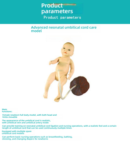 Mô hình chăm sóc dây rốn trẻ sơ sinh bằng nhựa bền mô phỏng nhau thai cho đào tạo y tá sau sinh Trong Khoa Học Y Tế - Product Image 3