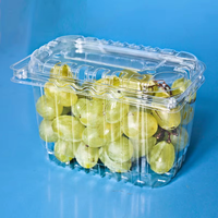 Récipient à fruits 500g en plastique pour raisins avec couvercle