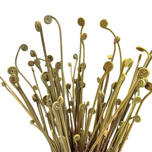 LO-1128 Branche de fougère artificielle, plante de fougère sauvage pour arrangements floraux DIY et décoration murale végétale à domicile - Product Image 5