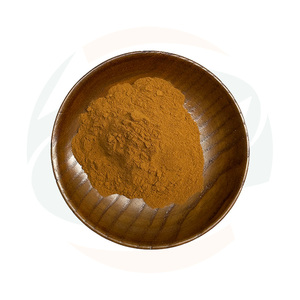 Poudre d'extrait de pissenlit de qualité supérieure China-Herb Supply |   Ingrédient Herbacé Naturel <span class=keywords><strong>Taraxacum</strong></span> - Product Image 2