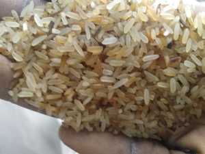 Trung Quốc Tốt Thông Minh Gạo Quang Màu Gạo Sorter Alibaba Nhà Cung Cấp Màu Nâu Gạo Phân Loại Máy - Product Image 5