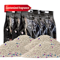 Litière pour chat en bentonite en gros d'usine, 5L, très absorbante, agglomérante, anti-odeur, sans poussière, faible teneur en poussière, personnalisable