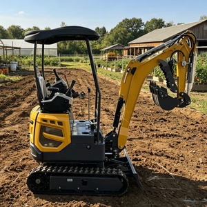 Mini Excavadora de 1.6 Toneladas con Motor EPA, Nueva, para Granja, con Ruedas, de Alto Rendimiento, Envío Gratis - Product Image 3