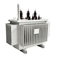 Transformateur de distribution immergé dans l'huile monté sur socle 500 kVA 1000 kVA 11 kV 33 kV Triphasé Testé selon la norme IEC 60076 Fournisseur
