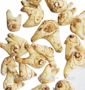 100% nổi tiếng thảo mộc bai Ji khô tự nhiên toàn bộ phổ biến bletilla giả bóng đèn từ Trung Quốc - Product Image 2