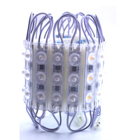 Module LED 3 LED 110V Blanc Froid & Blanc Chaud 2W IP67, Éclairage Publicitaire par Injection 2835 Conforme ROHS