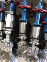 Venta Directa de Válvula de Compuerta de Acero Inoxidable 316L para la Industria Química
