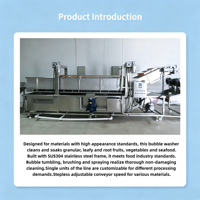 Fruit- en groentewasmachine SUS304 Food Grade, heftransportband, aanpasbare afmetingen, meerdere modellen, CE-gecertificeerd