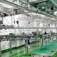 Processus d'abattage de la viande d'agneau de 50 à 500 GPH pour les machines d'abattoir, équipement d'abattage des moutons